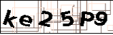 1016-3区分字母大小写验证码示例