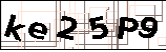 1016区分字母大小写验证码示例