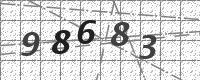 1107纯数字验证码示例