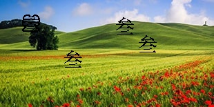 13151点选类型图片