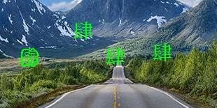13151点选类型图片