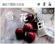 2304类型图片
