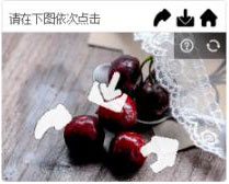 2304类型图片