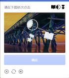 2316类型示例图片